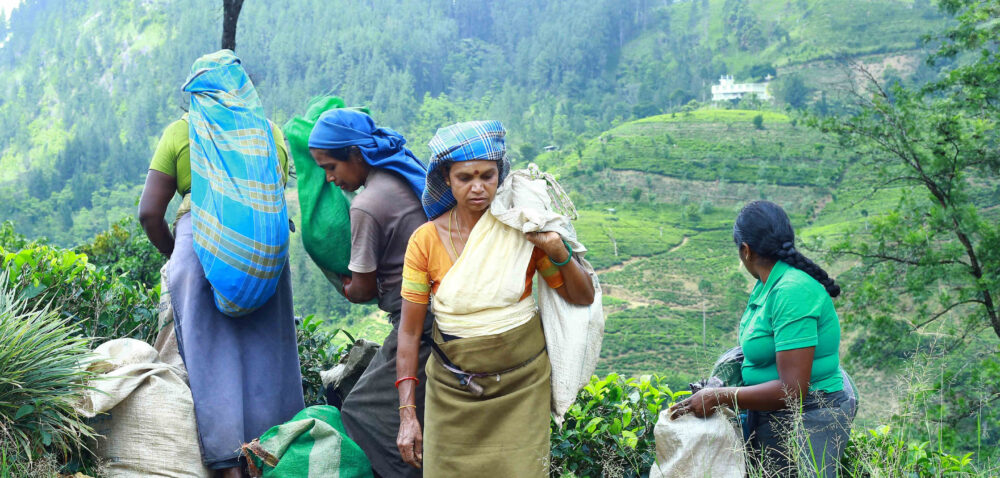 Ceylon Workers Red Flag Union (CWRFU) 