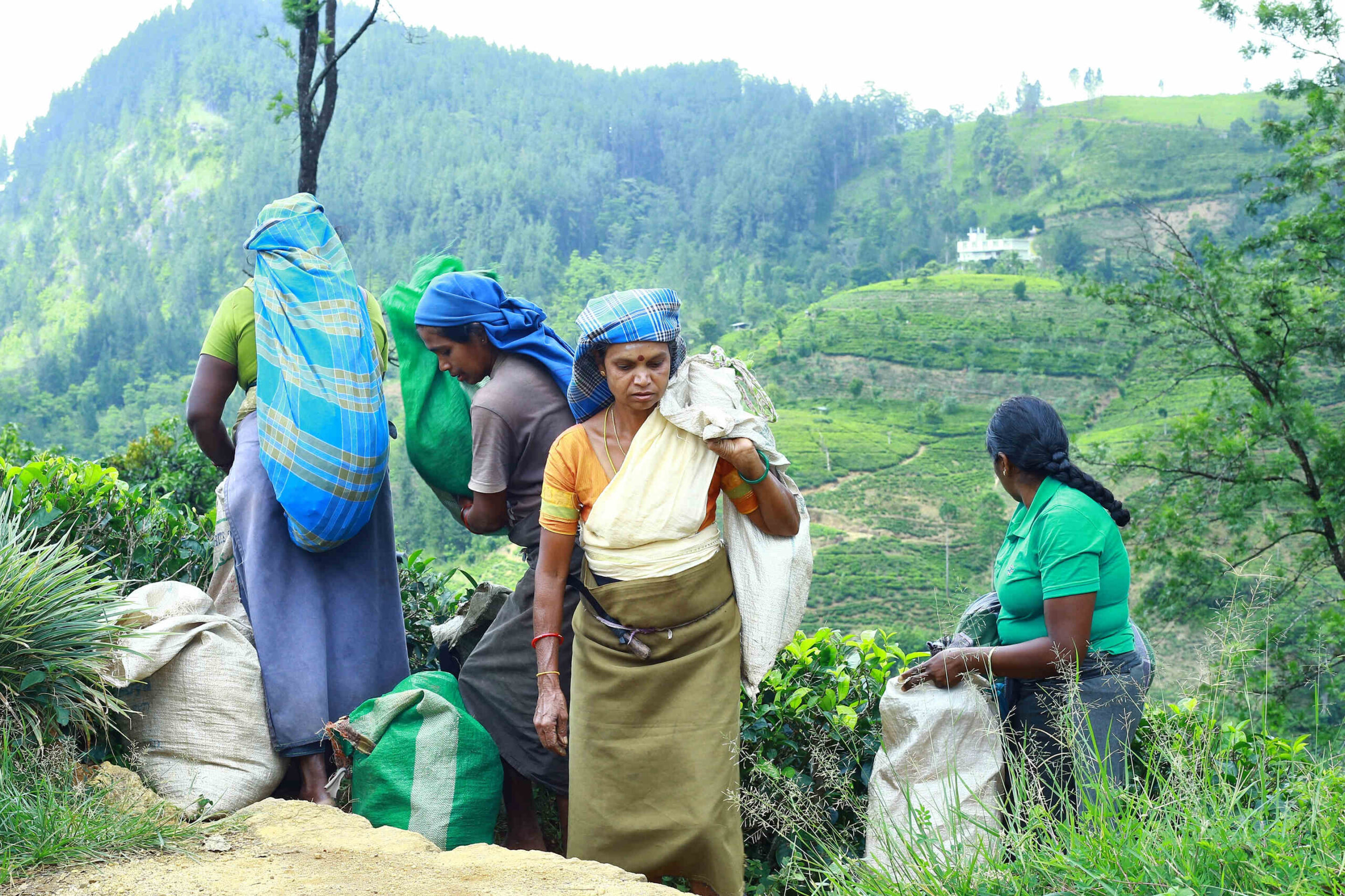 Ceylon Workers Red Flag Union (CWRFU)
