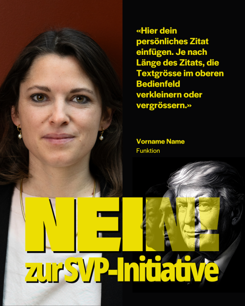 Vorlage SVP-Initiative 2 DE