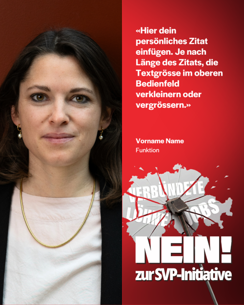 Vorlage SVP-Initiative 1 DE