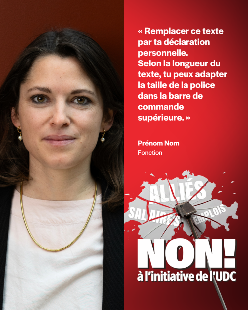 Vorlage SVP-Initiative FR