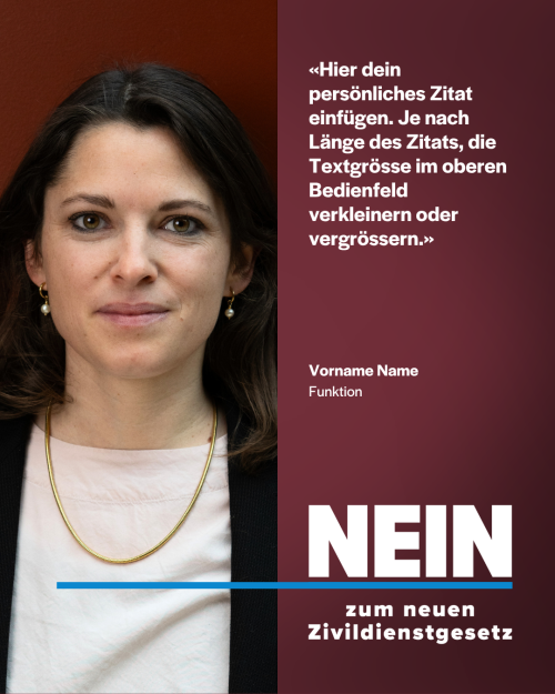 Vorlage Zivildienstgesetz DE