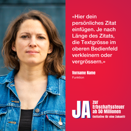 Vorlage Statement IFEZ DE