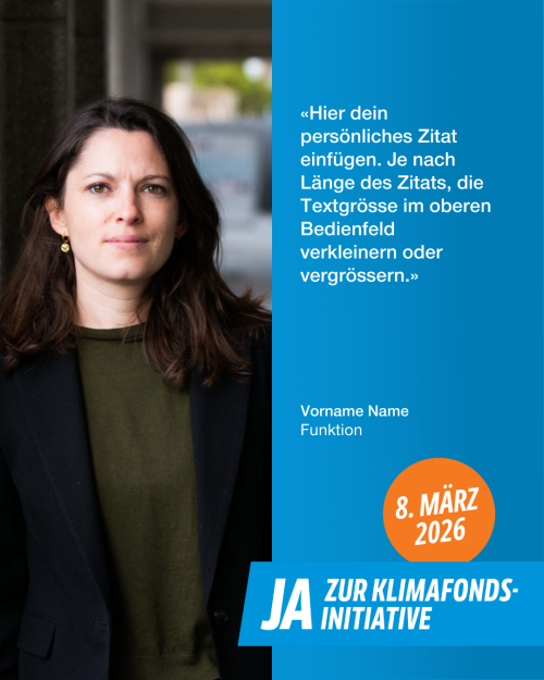 Statement Klimafondsinitiative DE