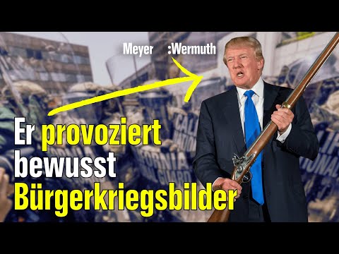Das Playbook autoritärer Herrscher | Meyer:Wermuth