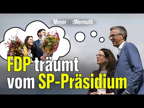 Unsere Meinung zum neuen FDP-Präsidium | Meyer:Wermuth