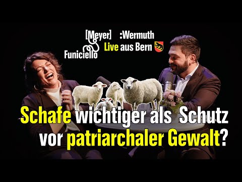 Gefährliche SVP-Motion für mehr Taschenmunition | Meyer:Wermuth